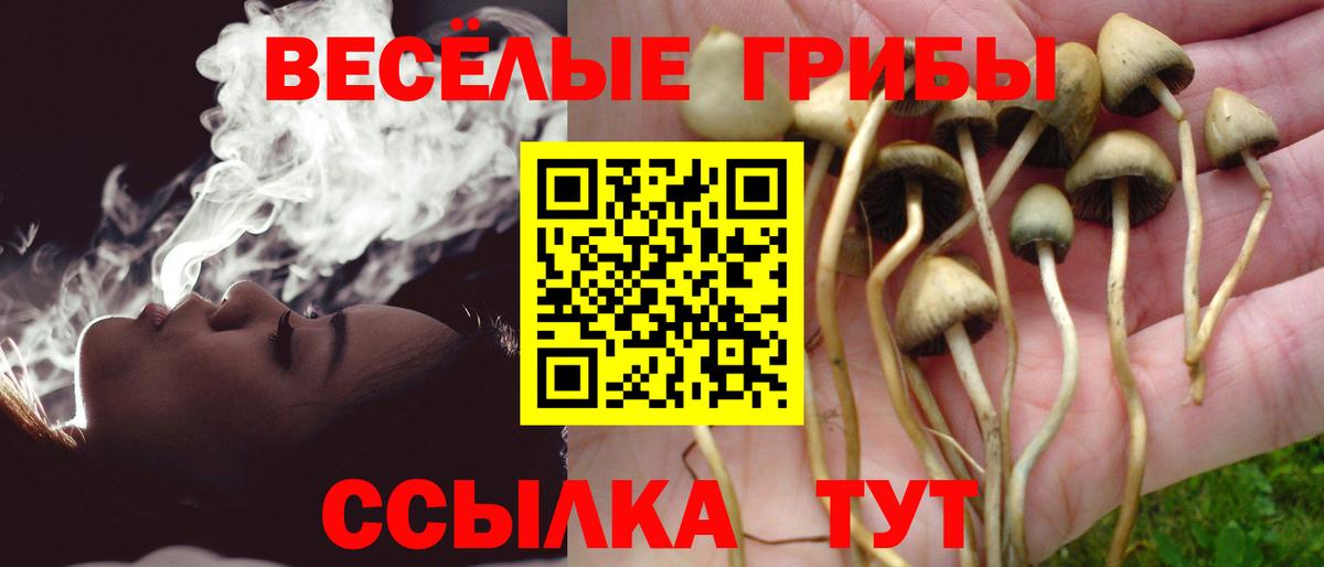 наркошоп  Вход с VPN  Гатчина  Галлюциногенные грибы мицелий 