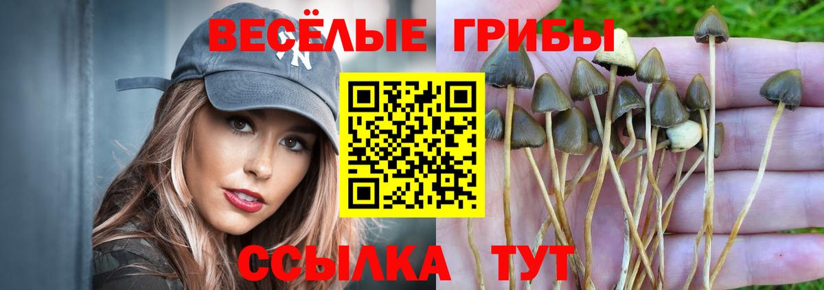 Галлюциногенные грибы мицелий Гатчина